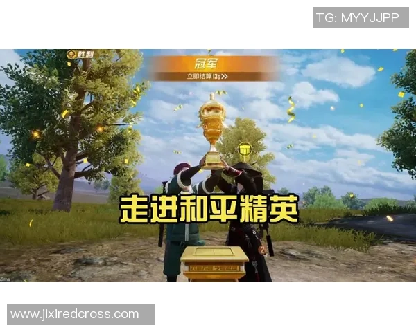 专访杨芳揭秘和平精英成功背后的策略与创新之路