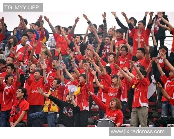 成都排球队意识争议引发热议球迷与专家观点碰撞激烈